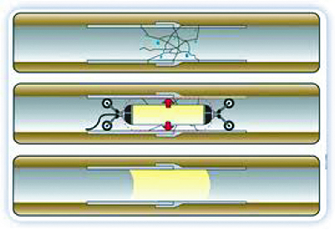 Galería de imágenes